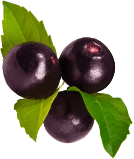 Acai