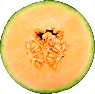 Melon