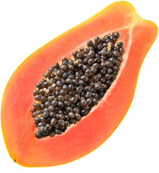 Papaya