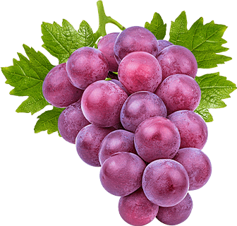 Purple Grape